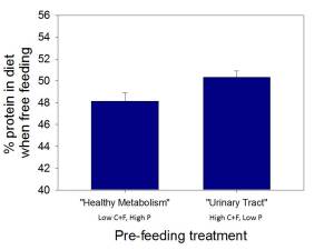 Figure 1. Relationship between pre-feeding treatment and % protein eaten when cats free fed one day later
